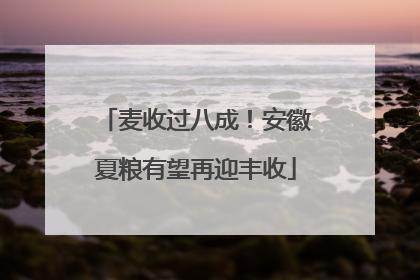 麦收过八成！安徽夏粮有望再迎丰收