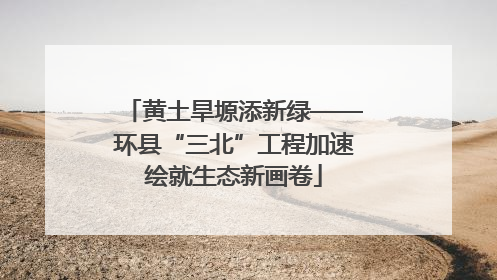 黄土旱塬添新绿——环县“三北”工程加速绘就生态新画卷