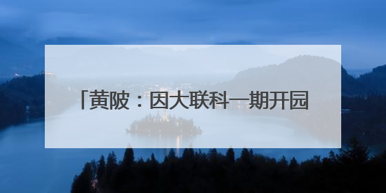 黄陂：因大联科一期开园 首批14家企业入驻
