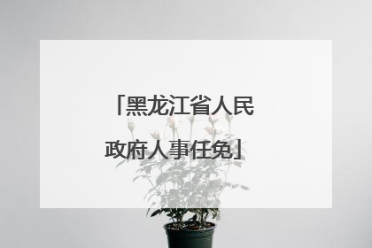 黑龙江省人民政府人事任免