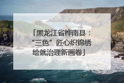 黑龙江省桦南县：“三色”匠心织锦绣 绘就治理新画卷