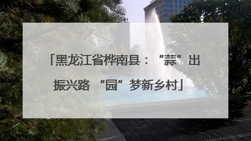 黑龙江省桦南县：“蒜”出振兴路 “园”梦新乡村