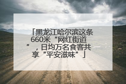 黑龙江哈尔滨这条660米“网红街道”，日均万名食客共享“平安滋味”