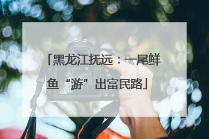 黑龙江抚远：一尾鲜鱼“游”出富民路