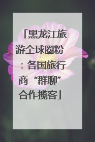 黑龙江旅游全球圈粉：各国旅行商“群聊”合作揽客