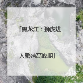 黑龙江：狮虎进入繁殖高峰期