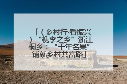 （乡村行·看振兴）“槜李之乡”浙江桐乡：“千年名果”铺就乡村共富路