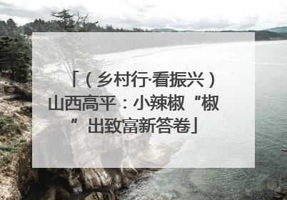 （乡村行·看振兴）山西高平：小辣椒“椒”出致富新答卷