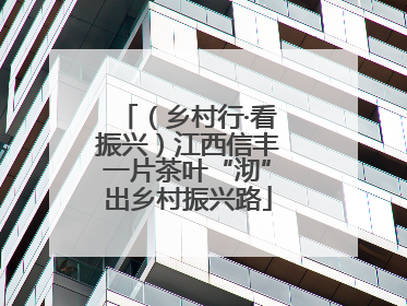 （乡村行·看振兴）江西信丰一片茶叶“沏”出乡村振兴路