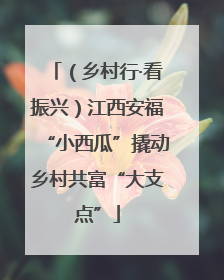 （乡村行·看振兴）江西安福“小西瓜”撬动乡村共富“大支点”