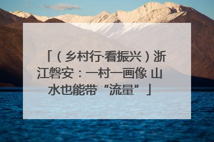 （乡村行·看振兴）浙江磐安：一村一画像 山水也能带“流量”
