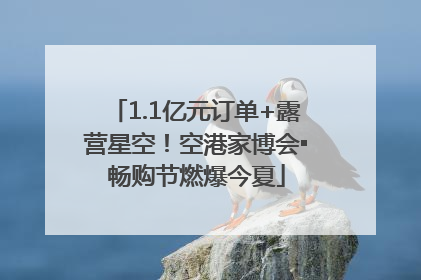 1.1亿元订单+露营星空！空港家博会▪畅购节燃爆今夏
