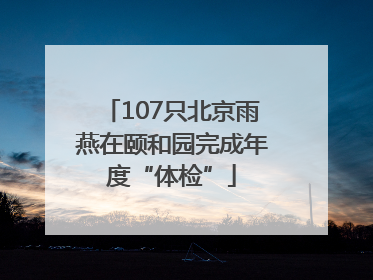 107只北京雨燕在颐和园完成年度“体检”