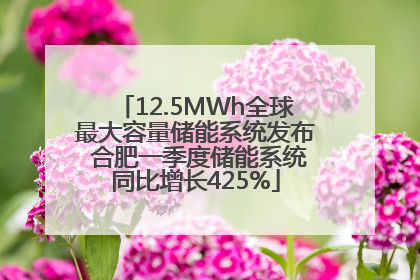 12.5MWh全球最大容量储能系统发布 合肥一季度储能系统同比增长425%