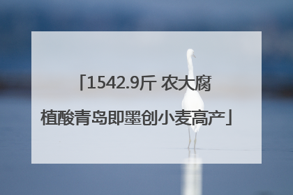 1542.9斤 农大腐植酸青岛即墨创小麦高产