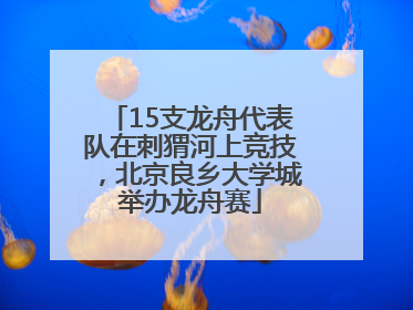 15支龙舟代表队在刺猬河上竞技，北京良乡大学城举办龙舟赛