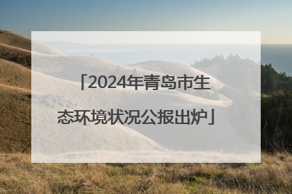 2024年青岛市生态环境状况公报出炉