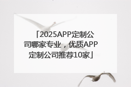 2025APP定制公司哪家专业，优质APP定制公司推荐10家
