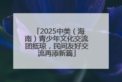 2025中美（海南）青少年文化交流团抵琼，民间友好交流再添新篇