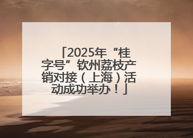 2025年“桂字号”钦州荔枝产销对接（上海）活动成功举办！