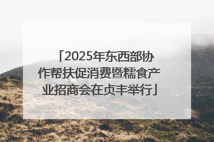 2025年东西部协作帮扶促消费暨糯食产业招商会在贞丰举行