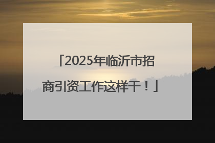2025年临沂市招商引资工作这样干！