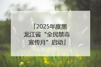 2025年度黑龙江省“全民禁毒宣传月”启动