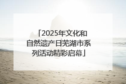 2025年文化和自然遗产日芜湖市系列活动精彩启幕
