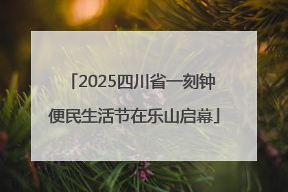 2025四川省一刻钟便民生活节在乐山启幕