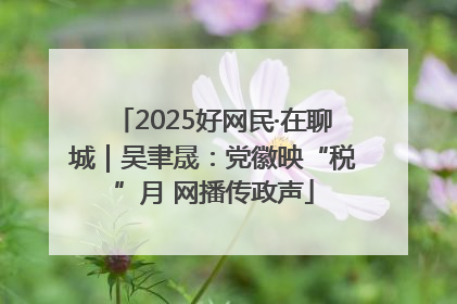 2025好网民·在聊城｜吴聿晟：党徽映“税”月 网播传政声