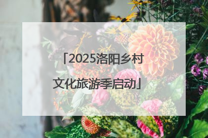 2025洛阳乡村文化旅游季启动
