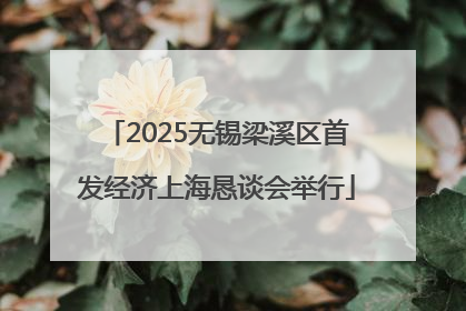 2025无锡梁溪区首发经济上海恳谈会举行