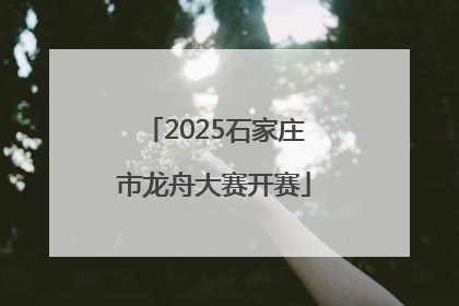 2025石家庄市龙舟大赛开赛