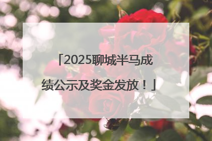 2025聊城半马成绩公示及奖金发放！