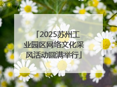 2025苏州工业园区网络文化采风活动圆满举行