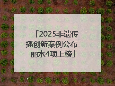 2025非遗传播创新案例公布 丽水4项上榜