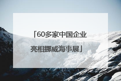 60多家中国企业亮相挪威海事展