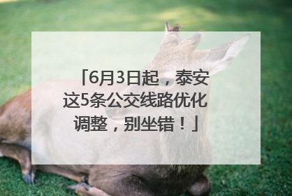 6月3日起，泰安这5条公交线路优化调整，别坐错！