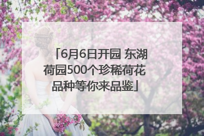 6月6日开园 东湖荷园500个珍稀荷花品种等你来品鉴