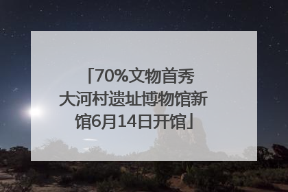 70%文物首秀 大河村遗址博物馆新馆6月14日开馆