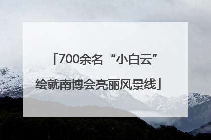 700余名“小白云”绘就南博会亮丽风景线