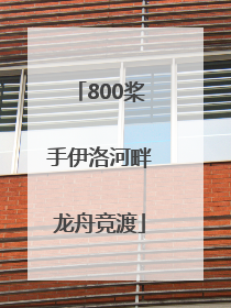 800桨手伊洛河畔龙舟竞渡