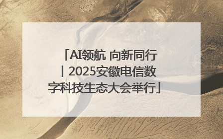 AI领航 向新同行丨2025安徽电信数字科技生态大会举行