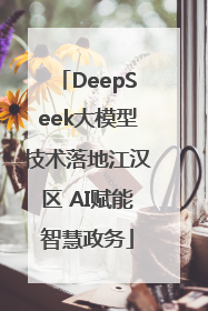 DeepSeek大模型技术落地江汉区 AI赋能智慧政务